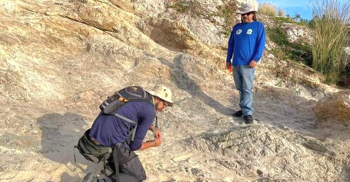 Se invita a las personas usuarias y visitantes a proteger la flora y la fauna endémica en el municipio.