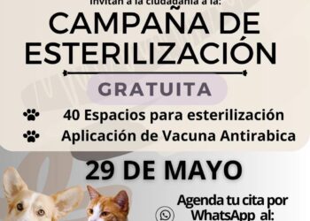 Campaña de esterilización a este 29 de mayo en el parque de la colonia Los Cangrejos en Cabo San Lucas.