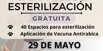 Campaña de esterilización a este 29 de mayo en el parque de la colonia Los Cangrejos en Cabo San Lucas.