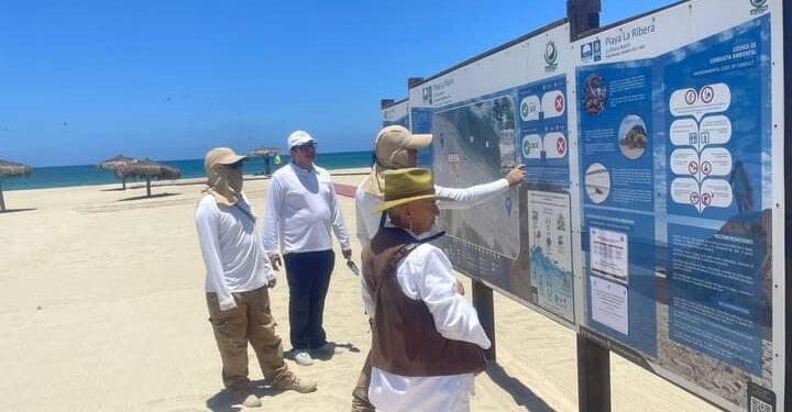 Blue Flag México realizaron la auditoría y revisión 2024 en 22 playas certificadas del municipio