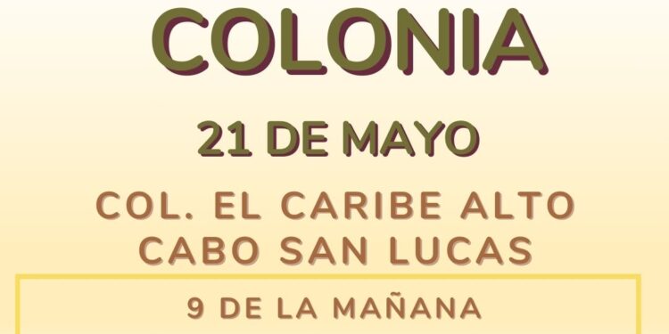 Jornada de asistencia social denominada “DIF en Tu Colonia”