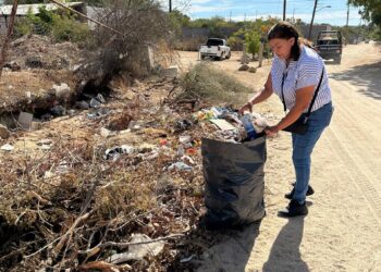 llevaron a cabo acciones forestales