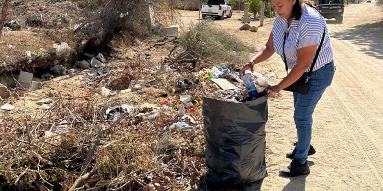 llevaron a cabo acciones forestales