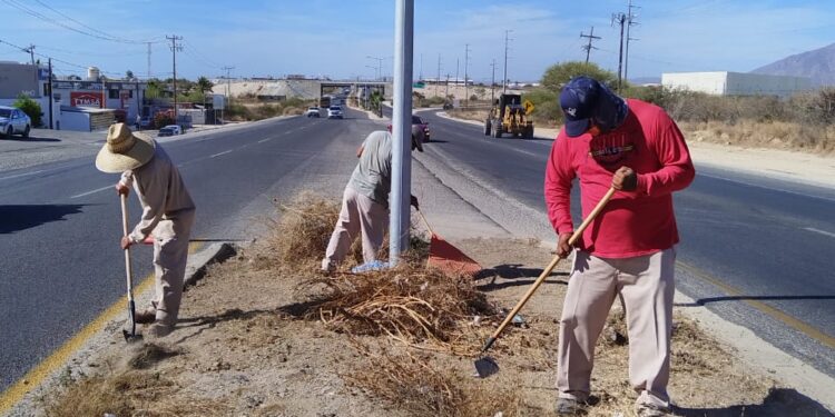 continúan con la limpieza de los camellones centrales en la carretea Transpeninsular