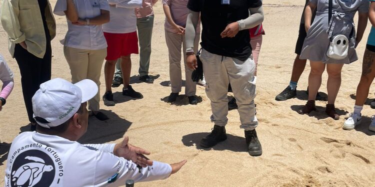 El Programa Municipal de Protección a la Tortuga Marina, intensifica las capacitaciones