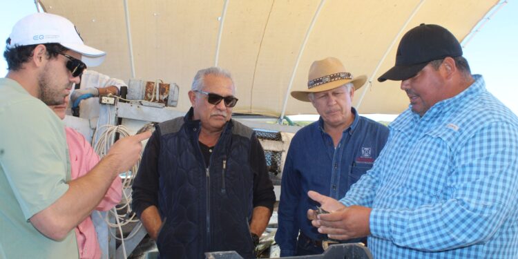 INTENSIFICA COMITÉ ESTATAL DE SANIDAD ACUÍCOLA TRABAJOS PARA FORTALECER LA ACUACULTURA