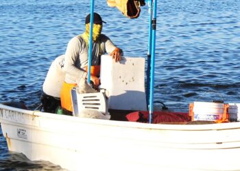 TRABAJA GOBIERNO DE BCS EN CERTIFICACIÓN PARA EXPORTACIÓN DE PRODUCTOS PESQUEROS