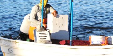 TRABAJA GOBIERNO DE BCS EN CERTIFICACIÓN PARA EXPORTACIÓN DE PRODUCTOS PESQUEROS