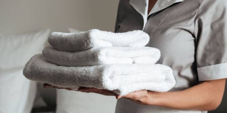 SNE-BCS OFRECE CURSO GRATUITO DE CAMARISTA