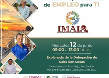 Servicio Nacional de Empleo en Baja California Sur (SNE), llevó a cabo un módulo itinerante para ofrecer un promedio de 300 oportunidades laborales en el ramo de la hotelería