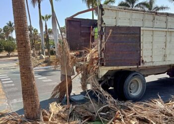 Dirección General de Servicios Públicos, a través del personal de la Coordinación de Aseo y Limpia, llevó a cabo el retiro de hojas de palma