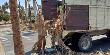 Dirección General de Servicios Públicos, a través del personal de la Coordinación de Aseo y Limpia, llevó a cabo el retiro de hojas de palma