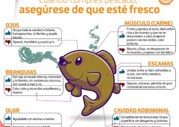 Se recomienda adquirir pescados y mariscos únicamente de proveedores confiables y establecimientos autorizados