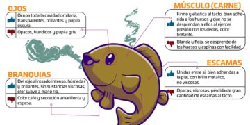 Se recomienda adquirir pescados y mariscos únicamente de proveedores confiables y establecimientos autorizados