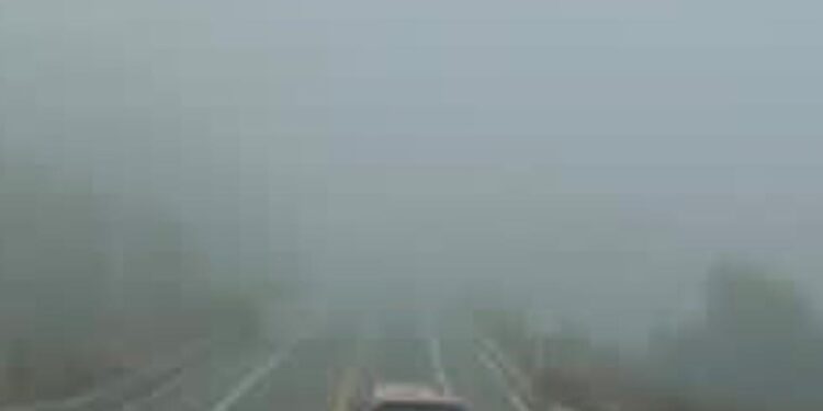 La Dirección Municipal de Protección Civil, emite importantes recomendaciones para conductores y peatones ante la presencia de neblina en las carreteras locales