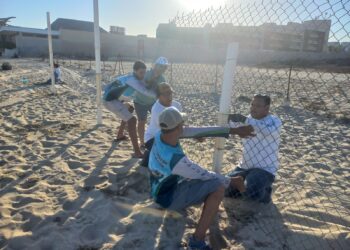 Se realizó la reubicación del corral de incubación de tortugas marinas instalado frente al conocido hotel El Presidente en San José del Cabo