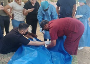 Apoya Gobierno Municipal a estudiantes de la UABCS con prácticas veterinarias
