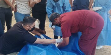 Apoya Gobierno Municipal a estudiantes de la UABCS con prácticas veterinarias