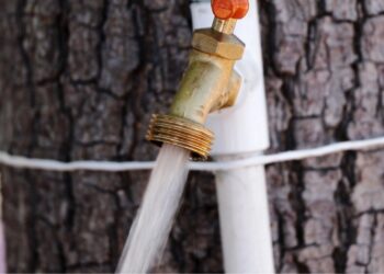 Contaron 102 colonias con servicio de agua potable por red, el 25 de junio: OOMSAPAS La Paz