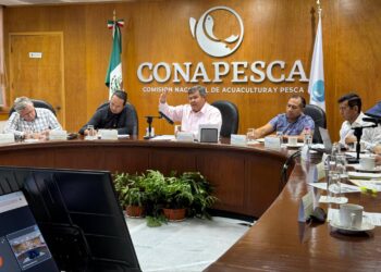 TRABAJA GOBIERNO Y CONAPESCA EN ESTRATEGIA PARA CONSERVACIÓN DE LA TORTUGA AMARILLA