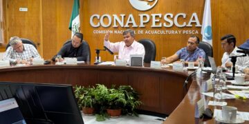 TRABAJA GOBIERNO Y CONAPESCA EN ESTRATEGIA PARA CONSERVACIÓN DE LA TORTUGA AMARILLA