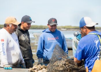 BCS ENTRE LOS CUATRO ESTADOS DEL PAÍS CON MAYOR PRODUCCIÓN PESQUERA