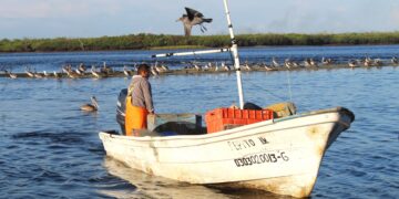 TRABAJA GOBIERNO EN PROGRAMA DE SEGURO DE VIDA A PESCADORES Y ACUACULTORES