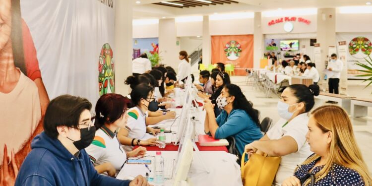 GOBIERNO DE BCS SE CONSOLIDA COMO IMPULSOR DE EMPLEO