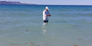 ANÁLISIS DE LABORATORIO CONFIRMAN QUE PLAYAS DE LA PAZ ESTÁN EN CONDICIONES SANITARIAS ÓPTIMAS