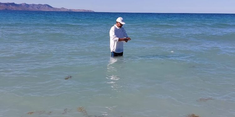 ANÁLISIS DE LABORATORIO CONFIRMAN QUE PLAYAS DE LA PAZ ESTÁN EN CONDICIONES SANITARIAS ÓPTIMAS