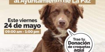 Invita Ayuntamiento a la segunda Feria de Adopciones caninas