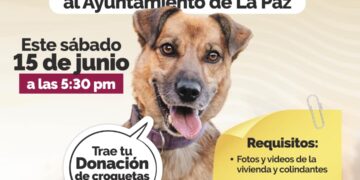 Invita Ayuntamiento a la segunda Feria de Adopciones caninas