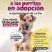 Invita Ayuntamiento a la segunda Feria de Adopciones caninas