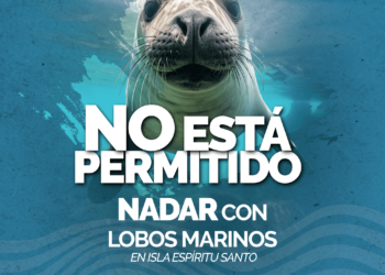 Invita turismo municipal a respetar restricciones en Isla Espíritu Santo