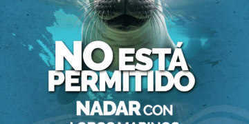 Invita turismo municipal a respetar restricciones en Isla Espíritu Santo