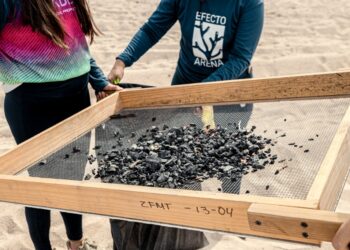 Se recolectaron 390 kilos de residuos en la macro limpieza de la playa el Saltito Original