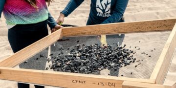 Se recolectaron 390 kilos de residuos en la macro limpieza de la playa el Saltito Original