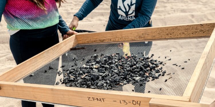 Se recolectaron 390 kilos de residuos en la macro limpieza de la playa el Saltito Original