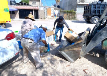 Limpieza y recolección de basura