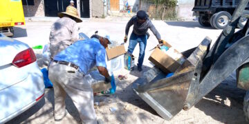 Limpieza y recolección de basura