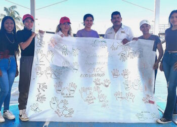 “Eco Verano 2024: Juego, me divierto y aprendo”