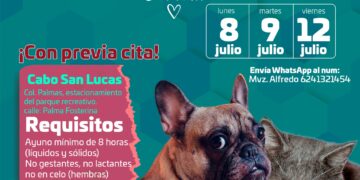 Este viernes se llevará a cabo una campaña de esterilización en la colonia Las Palmas, en Cabo San Lucas