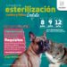 Este viernes se llevará a cabo una campaña de esterilización en la colonia Las Palmas, en Cabo San Lucas