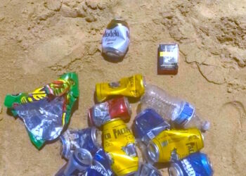 Como una de las tareas fundamentales para la conservación de las playas del municipio de Los Cabos, de manera cotidiana se implementan acciones para disminuir su contaminación