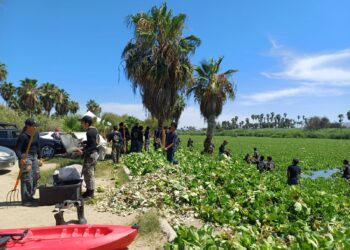 Jornada de limpieza extensiva en el área natural protegida.