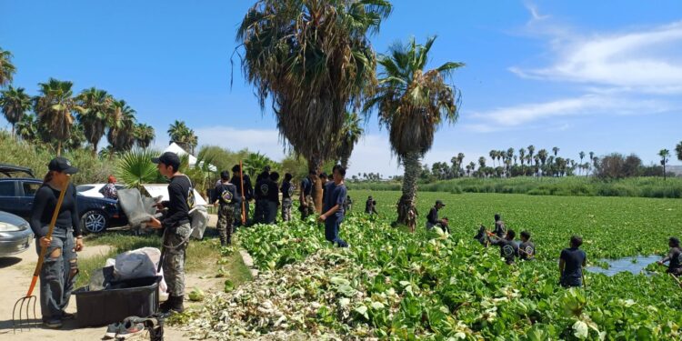 Jornada de limpieza extensiva en el área natural protegida.