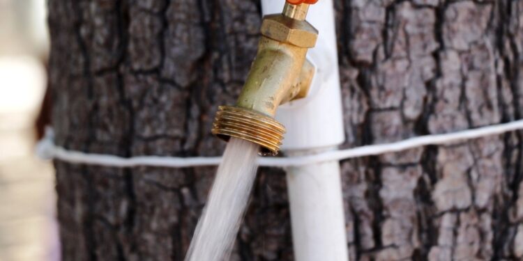 Contaron 109 colonias con servicio de agua potable por red, el 30 de junio de 2024 : OOMSAPAS La Paz