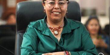 Aprueba el pleno la creación de la Comisión de Transición para los Ayuntamientos