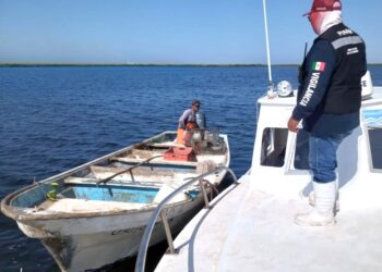 INSTALA FONMAR VIGILANCIA PARA PREVENIR REDES DE PESCA FANTASMA EN COMONDÚ