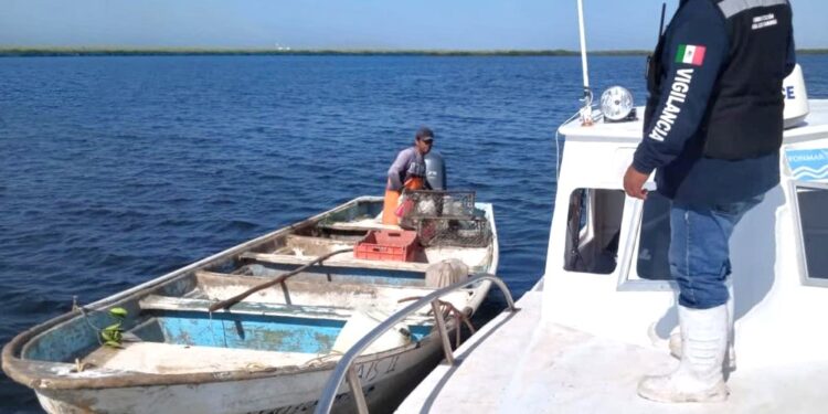 INSTALA FONMAR VIGILANCIA PARA PREVENIR REDES DE PESCA FANTASMA EN COMONDÚ